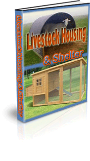 Small Scale Livestock Farming
